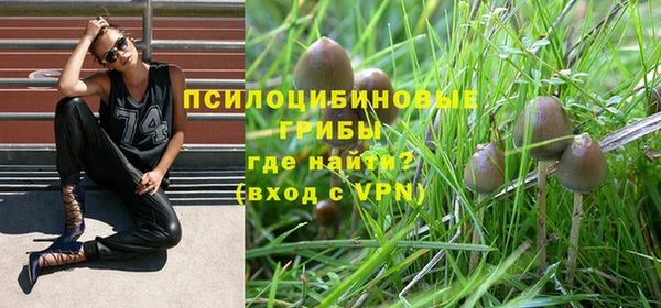 метадон Зеленодольск