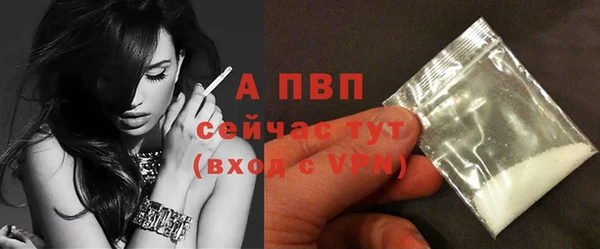 сатива Зеленокумск