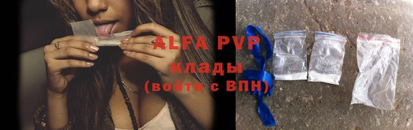 сатива Зеленокумск