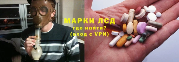 сатива Зеленокумск