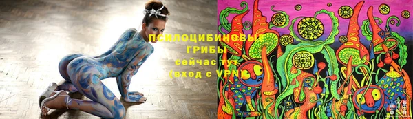 сатива Зеленокумск