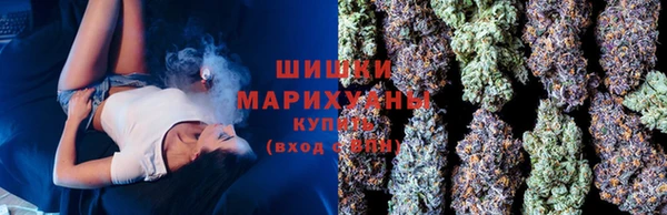 сатива Зеленокумск