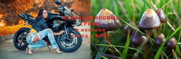 марки nbome Зерноград