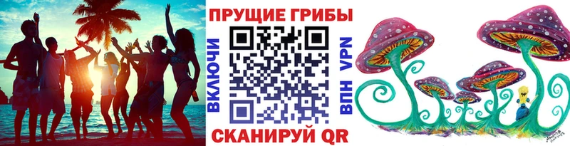 Купить  Беломорск  Псилоцибиновые грибы GOLDEN TEACHER 